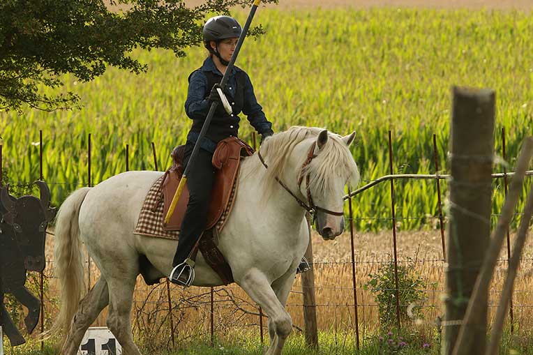 Festival du Cheval 2026