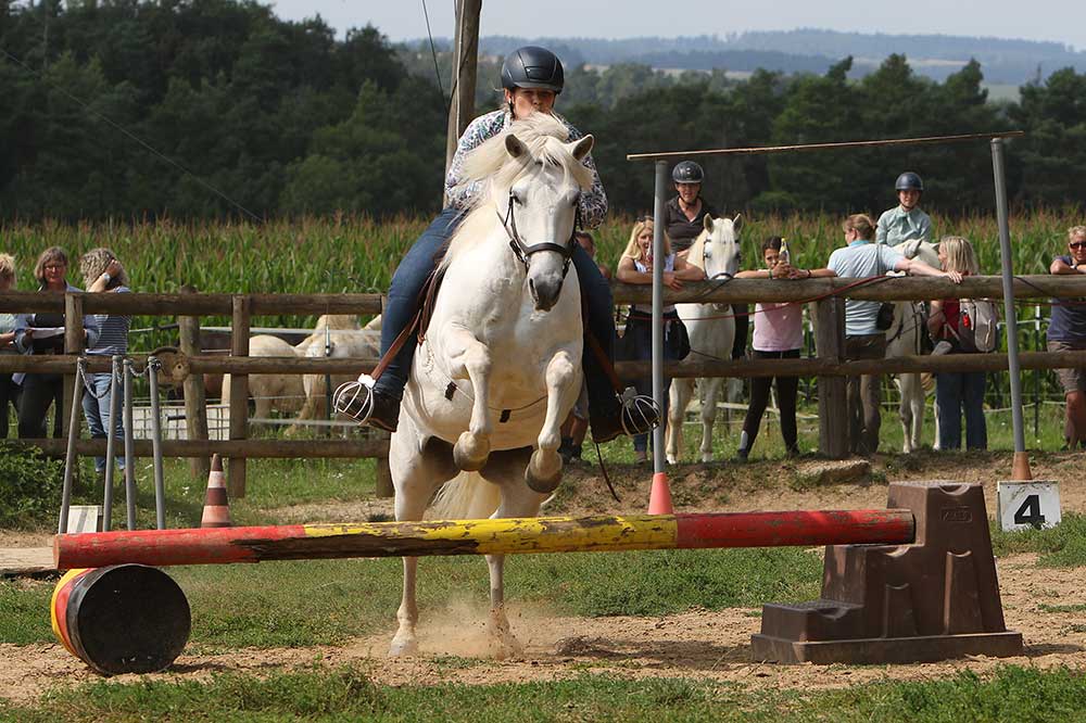 Festival du Cheval 2026